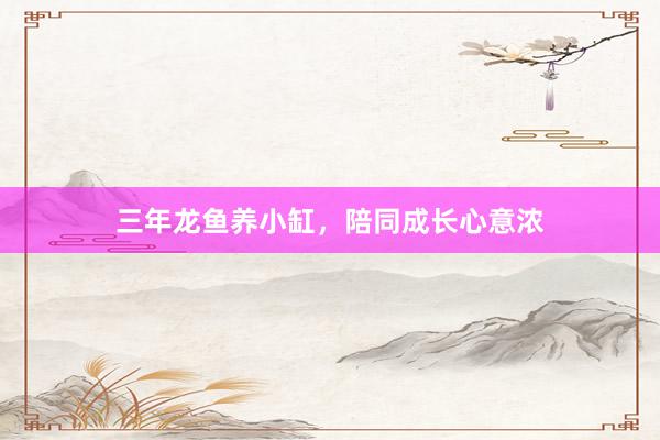 三年龙鱼养小缸，陪同成长心意浓