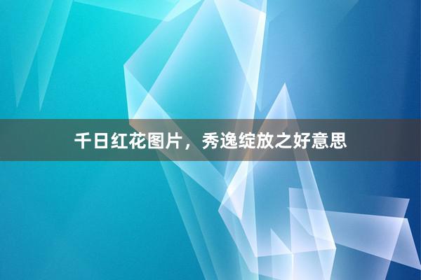 千日红花图片，秀逸绽放之好意思