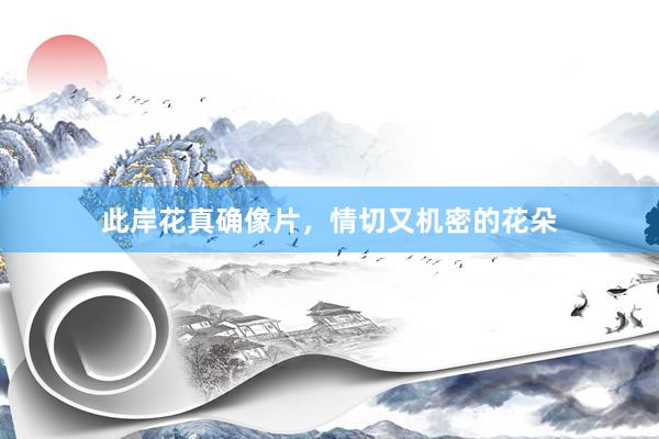 此岸花真确像片，情切又机密的花朵