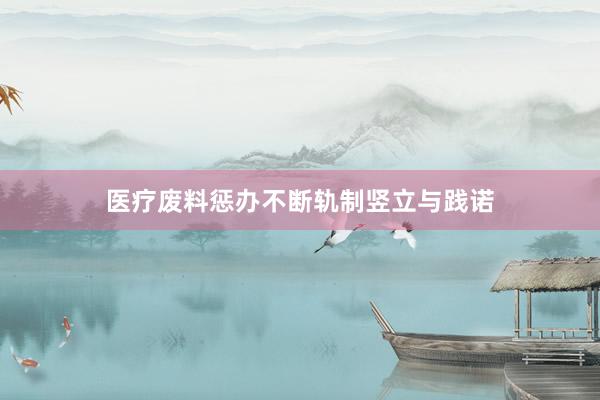 医疗废料惩办不断轨制竖立与践诺