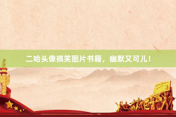 二哈头像搞笑图片书籍,幽默又可儿!