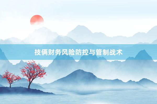 技俩财务风险防控与管制战术
